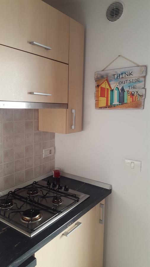 Ruud Vox Apartment Тимишоара Екстериор снимка